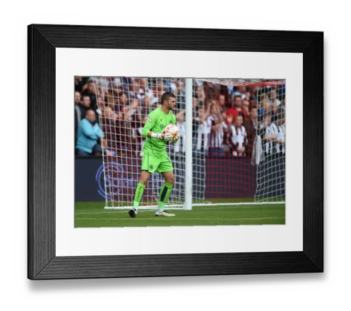 Framed Print : Richard O'Donnell in Action: Bristol City vs Newcastle United at Ashton Gate, 2016 Framed Print : Richard O'Donnell in Action: Bristol City vs Newcastle United at Ashton Gate, 2016