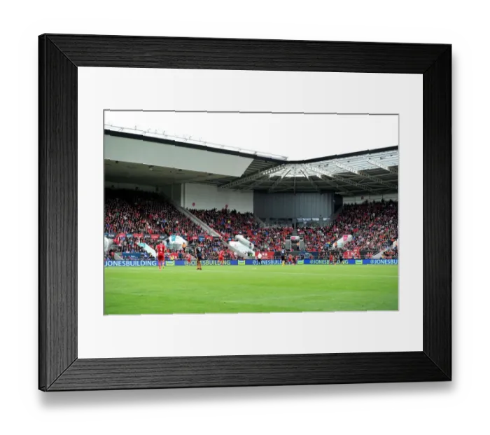 Framed Print : Exciting Moment at Ashton Gate: Bristol City vs Newcastle United, Sky Bet Championship (2016) Framed Print : Exciting Moment at Ashton Gate: Bristol City vs Newcastle United, Sky Bet Championship (2016)