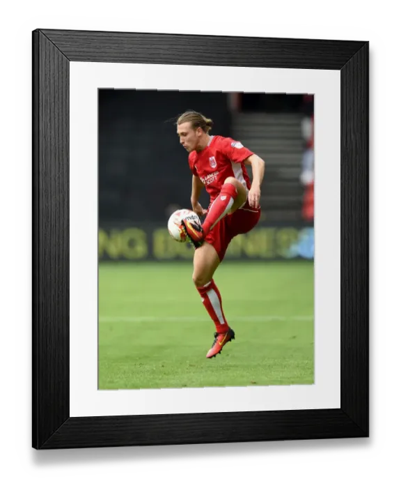 Framed Print : Luke Freeman in Action: Bristol City vs Newcastle United (2016), Sky Bet Championship Framed Print : Luke Freeman in Action: Bristol City vs Newcastle United (2016), Sky Bet Championship