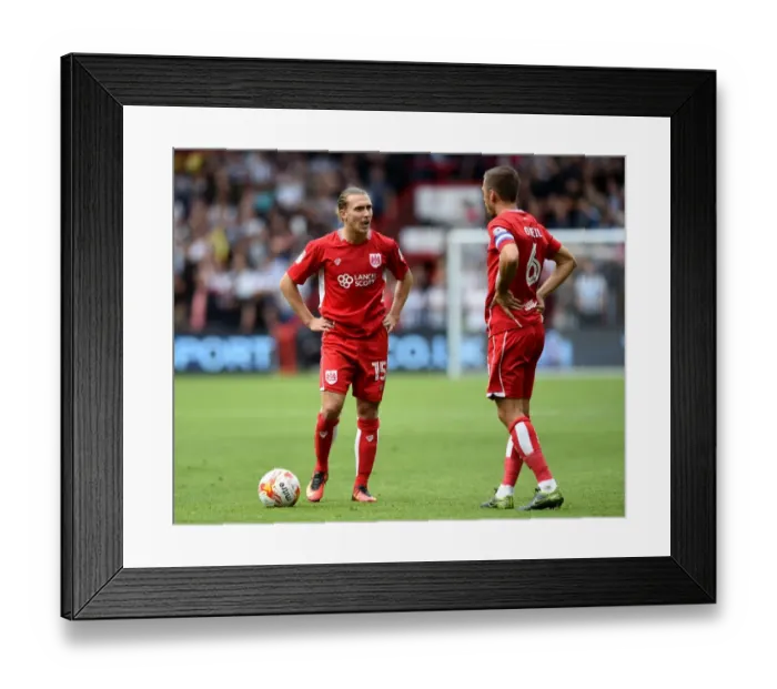 Framed Print : Bristol City's Luke Freeman and Gary O'Neil in Action Against Newcastle United, 2016 Framed Print : Bristol City's Luke Freeman and Gary O'Neil in Action Against Newcastle United, 2016