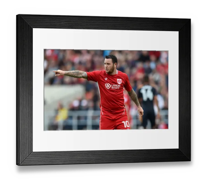 Framed Print : Lee Tomlin in Action: Bristol City vs Newcastle United (2016) Framed Print : Lee Tomlin in Action: Bristol City vs Newcastle United (2016)