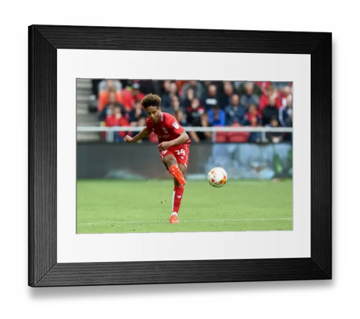 Framed Print : Bobby Reid in Action: Bristol City vs Newcastle United, Sky Bet Championship 2016 Framed Print : Bobby Reid in Action: Bristol City vs Newcastle United, Sky Bet Championship 2016