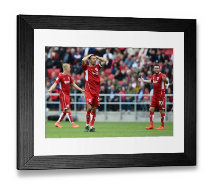 Framed Print : Bristol City Footballers Gary O'Neil and Lee Tomlin React After Match vs Newcastle United, 2016