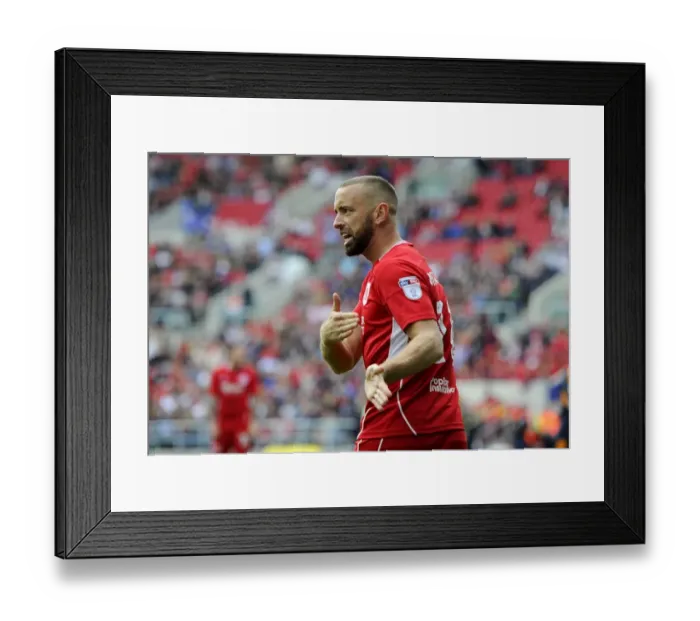 Framed Print : Aaron Wilbraham in Action: Bristol City vs Newcastle United at Ashton Gate (2016)