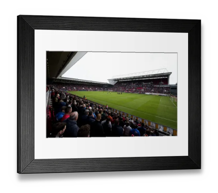 Framed Print : Championship Showdown: Bristol City vs Newcastle United at Ashton Gate Framed Print : Championship Showdown: Bristol City vs Newcastle United at Ashton Gate