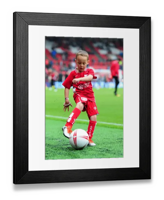 Framed Print : Bristol City vs Newcastle United: A Championship Showdown at Ashton Gate (2016) Framed Print : Bristol City vs Newcastle United: A Championship Showdown at Ashton Gate (2016)