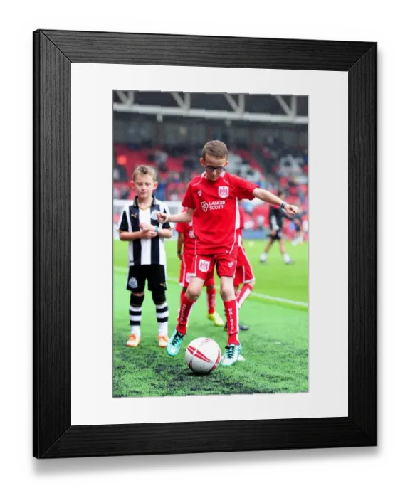 Framed Print : Bristol City vs Newcastle United: Clash at Ashton Gate, Sky Bet Championship (2016) Framed Print : Bristol City vs Newcastle United: Clash at Ashton Gate, Sky Bet Championship (2016)