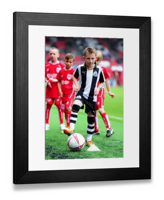 Framed Print : Bristol City vs Newcastle United: Clash at Ashton Gate - Sky Bet Championship (2016)