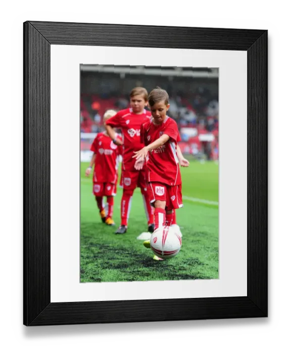 Framed Print : Bristol City vs Newcastle United Clash at Ashton Gate, Sky Bet Championship (2016)