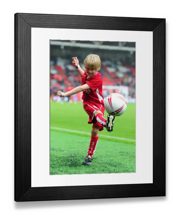 Framed Print : Bristol City vs Newcastle United: Clash at Ashton Gate, Sky Bet Championship (2016) Framed Print : Bristol City vs Newcastle United: Clash at Ashton Gate, Sky Bet Championship (2016)