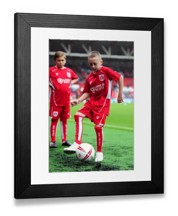 Framed Print : Bristol City vs Newcastle United: A Championship Showdown at Ashton Gate (2016)