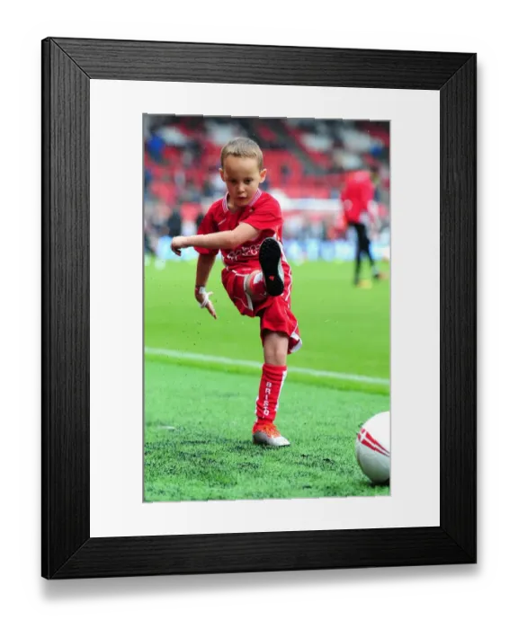 Framed Print : Bristol City vs Newcastle United: A Championship Showdown at Ashton Gate (2016) Framed Print : Bristol City vs Newcastle United: A Championship Showdown at Ashton Gate (2016)