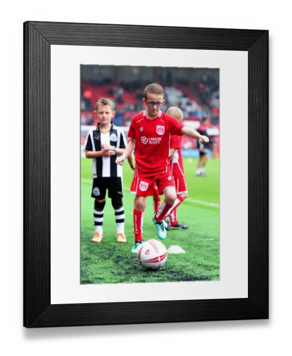 Framed Print : Bristol City vs Newcastle United: Clash at Ashton Gate - Sky Bet Championship (2016)