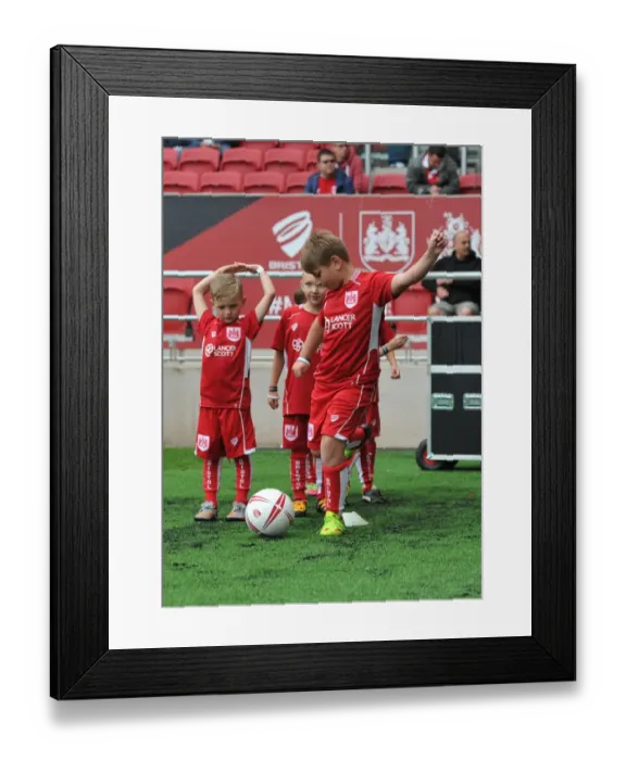 Framed Print : Sky Bet Championship Showdown: Bristol City vs Newcastle United at Ashton Gate (August 2016)