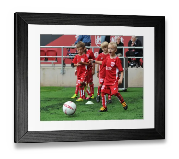 Framed Print : Sky Bet Championship Showdown: Bristol City vs Newcastle United at Ashton Gate (August 2016)