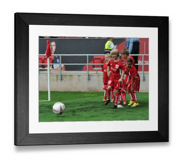 Framed Print : Sky Bet Championship Showdown: Bristol City vs Newcastle United at Ashton Gate (August 2016) Framed Print : Sky Bet Championship Showdown: Bristol City vs Newcastle United at Ashton Gate (August 2016)