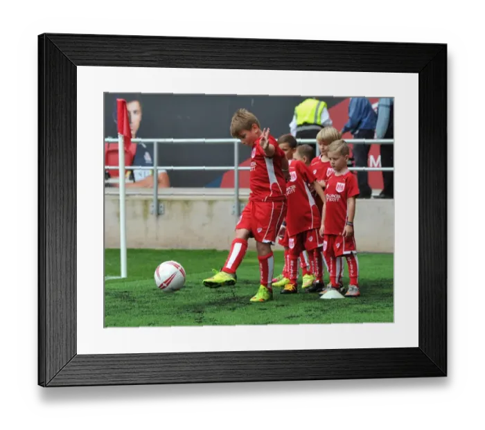Framed Print : Sky Bet Championship Showdown: Bristol City vs Newcastle United at Ashton Gate (August 2016)