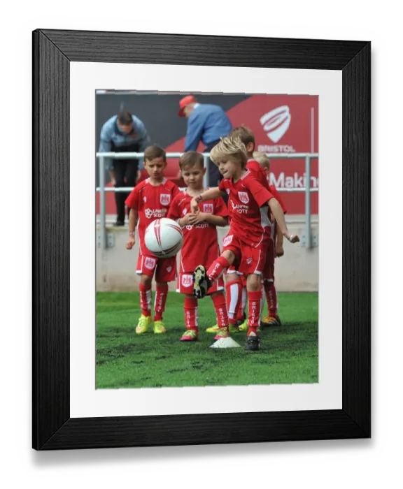 Framed Print : Sky Bet Championship Showdown: Bristol City vs Newcastle United at Ashton Gate (August 2016)