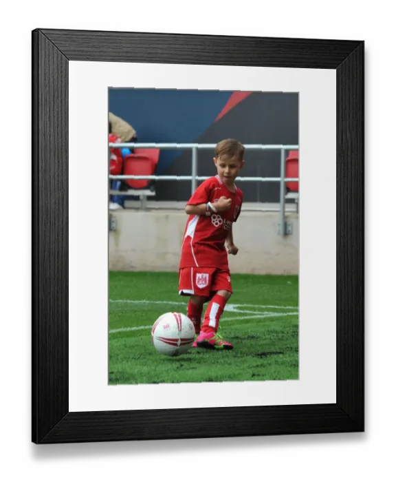 Framed Print : Sky Bet Championship Showdown: Bristol City vs Newcastle United at Ashton Gate (August 2016)