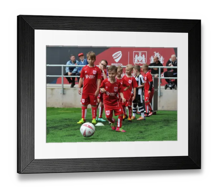 Framed Print : Sky Bet Championship Showdown: Bristol City vs Newcastle United at Ashton Gate (August 2016)