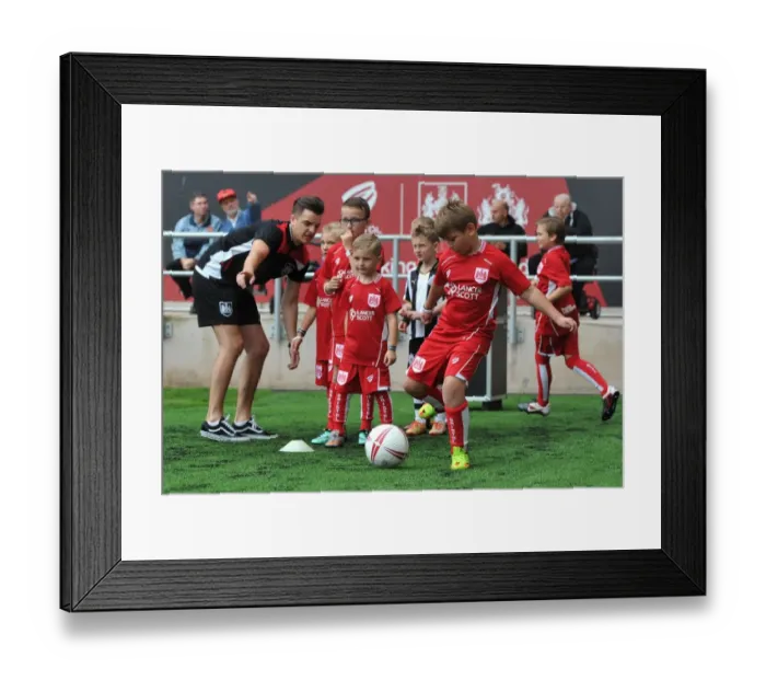 Framed Print : Sky Bet Championship Showdown: Bristol City vs Newcastle United at Ashton Gate (August 2016) Framed Print : Sky Bet Championship Showdown: Bristol City vs Newcastle United at Ashton Gate (August 2016)