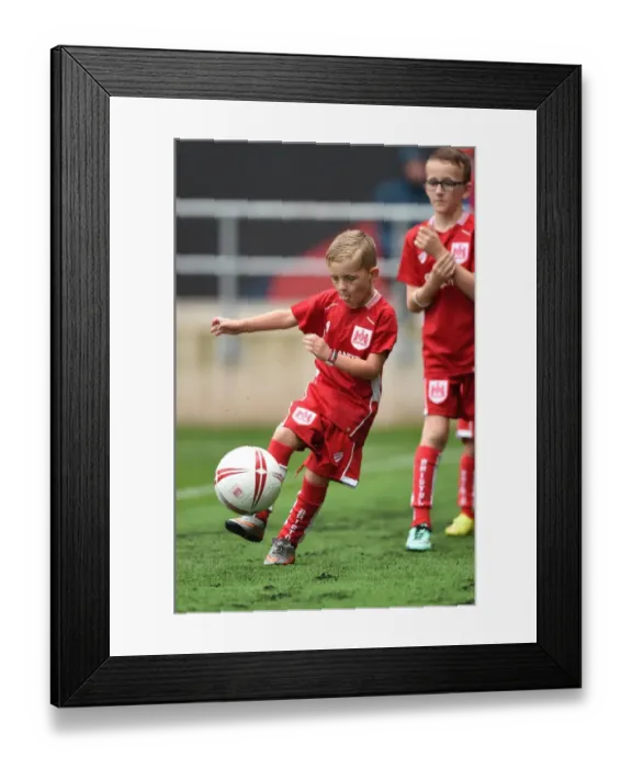 Framed Print : Sky Bet Championship Showdown: Bristol City vs Newcastle United at Ashton Gate (August 2016) Framed Print : Sky Bet Championship Showdown: Bristol City vs Newcastle United at Ashton Gate (August 2016)