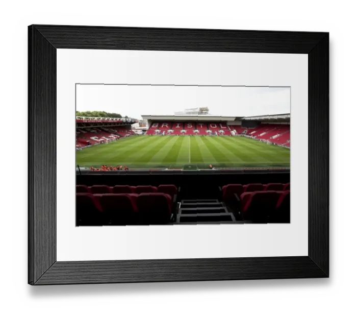 Framed Print : Sky Bet Championship Showdown: Tension-Filled Executive Box Clash - Bristol City vs Newcastle United at Ashton Gate