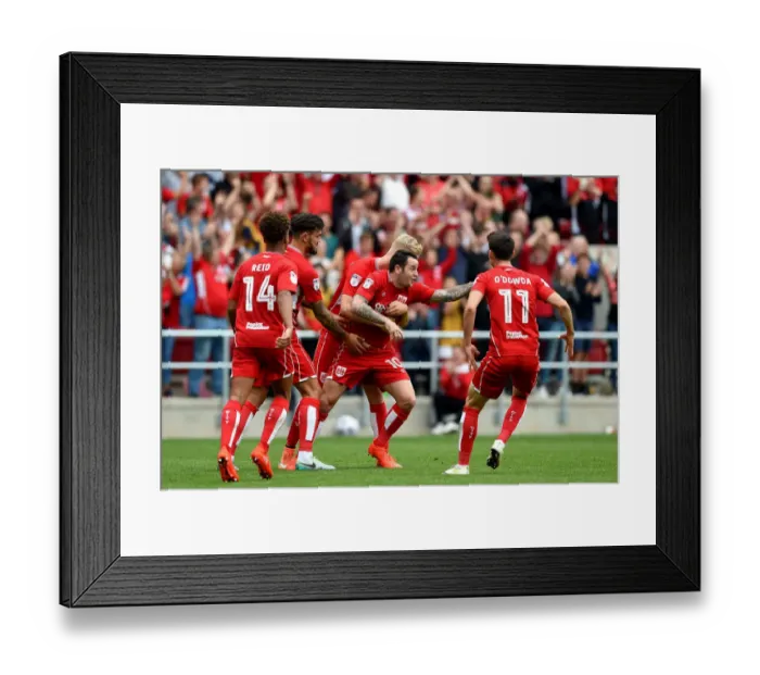 Framed Print : Bristol City: Lee Tomlin's Euphoric Moment as He Scores the Winning Goal Against Aston Villa (27-08-2016)