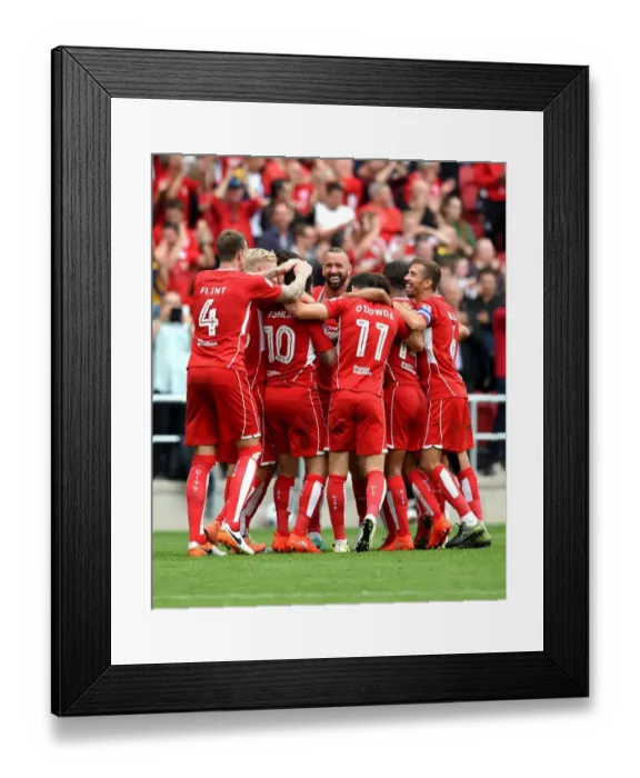 Framed Print : Bristol City: Lee Tomlin's Thrilling Goal Celebration vs. Aston Villa (August 27, 2016)