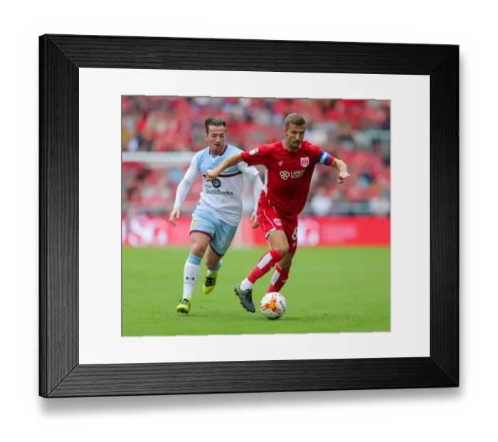Framed Print : Sky Bet EFL Championship Showdown: Bristol City vs Aston Villa at Ashton Gate Stadium (August 2016)