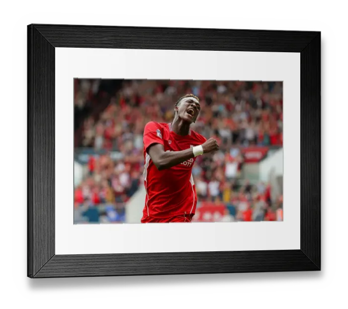 Framed Print : Bristol City vs Aston Villa: Tammy Abraham Scores Dramatic Equalizer at Ashton Gate Framed Print : Bristol City vs Aston Villa: Tammy Abraham Scores Dramatic Equalizer at Ashton Gate
