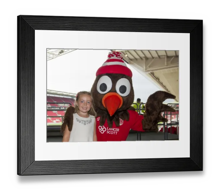 Framed Print : Bristol City vs Aston Villa Clash in Sky Bet Championship at Ashton Gate (August 2016) Framed Print : Bristol City vs Aston Villa Clash in Sky Bet Championship at Ashton Gate (August 2016)