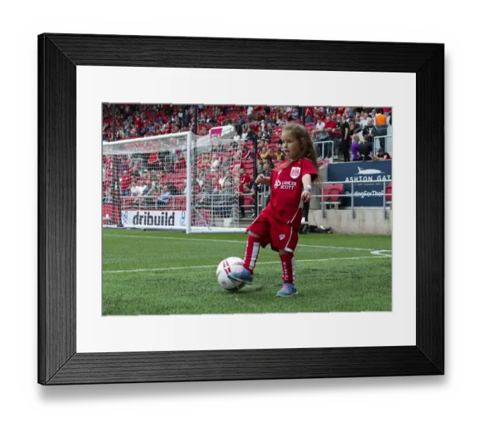 Framed Print : Bristol City vs Aston Villa Clash in Sky Bet Championship (August 2016)