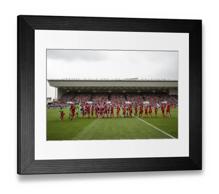 Framed Print : Bristol City vs Aston Villa: Mascots Share a Moment at Ashton Gate Stadium, Sky Bet EFL Championship Framed Print : Bristol City vs Aston Villa: Mascots Share a Moment at Ashton Gate Stadium, Sky Bet EFL Championship