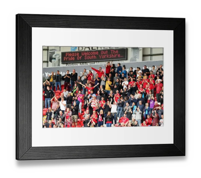 Framed Print : Bristol City Fans Cheering at Rotherham United Match, Sky Bet Championship (September 10, 2016) Framed Print : Bristol City Fans Cheering at Rotherham United Match, Sky Bet Championship (September 10, 2016)