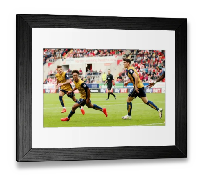 Framed Print : Dramatic Equalizer: Bobby Reid Salvages a Point for Bristol City vs. Rotherham United, Sky Bet Championship (10-09-2016) Framed Print : Dramatic Equalizer: Bobby Reid Salvages a Point for Bristol City vs. Rotherham United, Sky Bet Championship (10-09-2016)