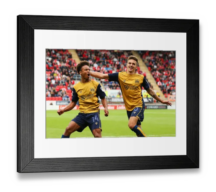 Framed Print : Dramatic Equalizer: Bobby Reid Scores for Bristol City against Rotherham United in Sky Bet Championship (2016)
