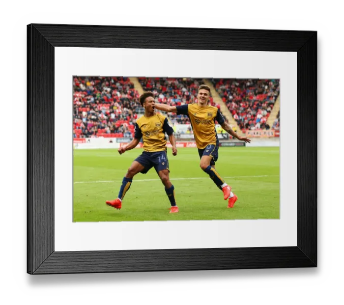 Framed Print : Bobby Reid's Dramatic Equalizer: Rotherham United vs. Bristol City, Sky Bet Championship (September 10, 2016) Framed Print : Bobby Reid's Dramatic Equalizer: Rotherham United vs. Bristol City, Sky Bet Championship (September 10, 2016)