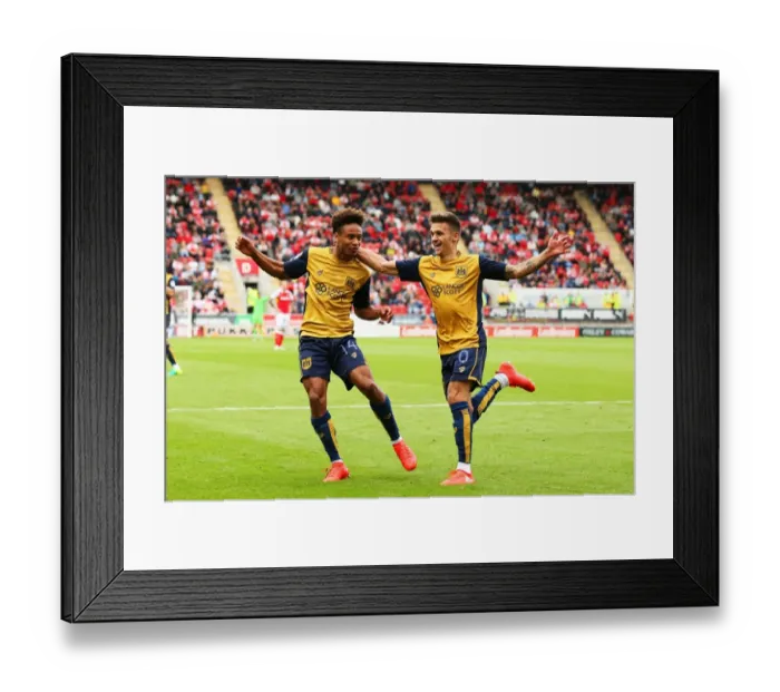 Framed Print : Dramatic Equalizer: Bobby Reid Scores Late for Bristol City against Rotherham United in Sky Bet Championship (September 10, 2016) Framed Print : Dramatic Equalizer: Bobby Reid Scores Late for Bristol City against Rotherham United in Sky Bet Championship (September 10, 2016)