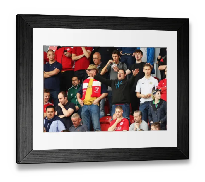 Framed Print : Bristol City Fans in Full Swing at Rotherham United Match, Sky Bet Championship (September 10, 2016) Framed Print : Bristol City Fans in Full Swing at Rotherham United Match, Sky Bet Championship (September 10, 2016)