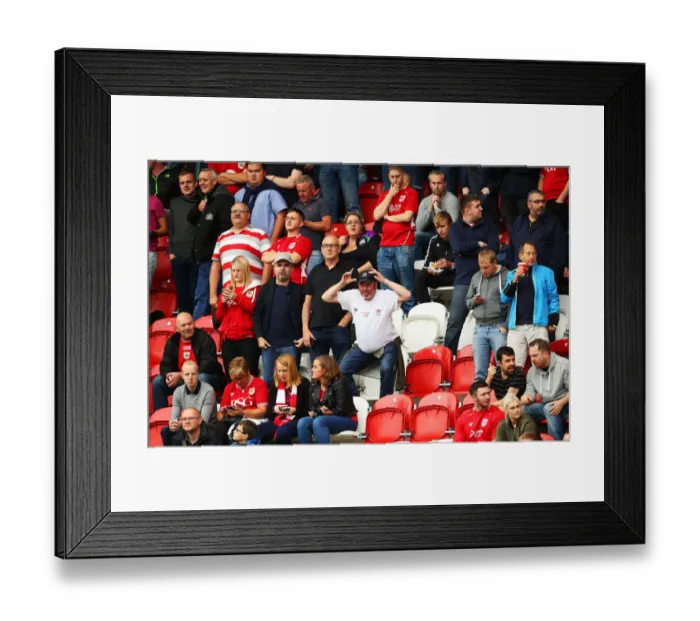 Framed Print : Bristol City Fans in Action during Sky Bet Championship Match against Rotherham United (September 10, 2016) Framed Print : Bristol City Fans in Action during Sky Bet Championship Match against Rotherham United (September 10, 2016)