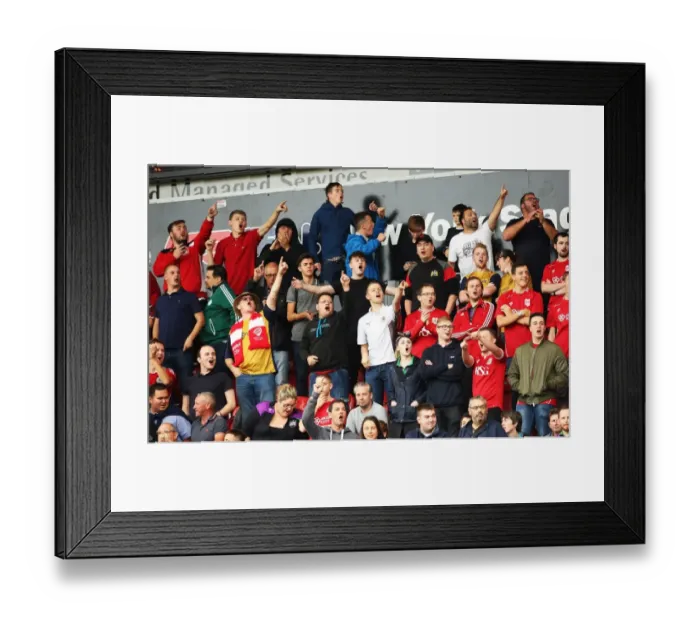 Framed Print : Bristol City Fans Cheering at Rotherham United Match, Sky Bet Championship (September 10, 2016) Framed Print : Bristol City Fans Cheering at Rotherham United Match, Sky Bet Championship (September 10, 2016)