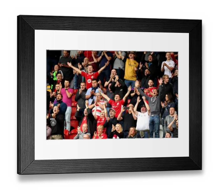 Framed Print : Bristol City Fans Cheering at Rotherham United Match, Sky Bet Championship (September 10, 2016) Framed Print : Bristol City Fans Cheering at Rotherham United Match, Sky Bet Championship (September 10, 2016)
