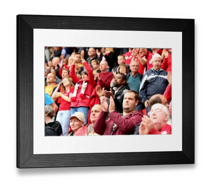 Framed Print : Bristol City Fans in Action at Rotherham United Match, Sky Bet Championship (September 10, 2016) Framed Print : Bristol City Fans in Action at Rotherham United Match, Sky Bet Championship (September 10, 2016)