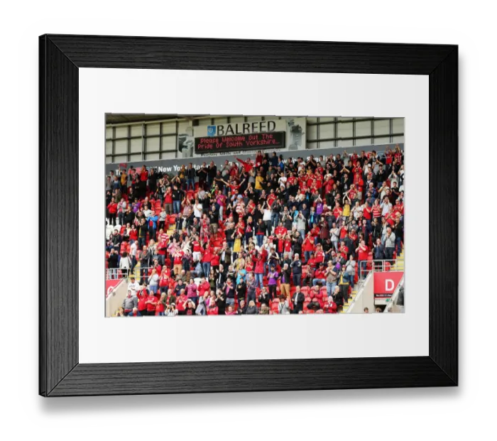 Framed Print : Bristol City Fans in Action at Rotherham United Match, Sky Bet Championship (September 10, 2016) Framed Print : Bristol City Fans in Action at Rotherham United Match, Sky Bet Championship (September 10, 2016)