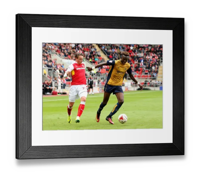Framed Print : Tammy Abraham in Action: Rotherham United vs. Bristol City Championship Clash, September 2016 Framed Print : Tammy Abraham in Action: Rotherham United vs. Bristol City Championship Clash, September 2016