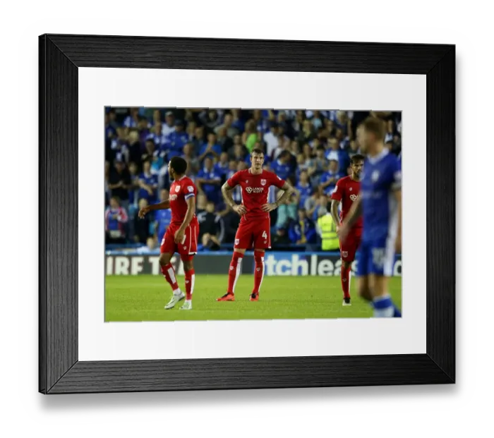 Framed Print : Aden Flint's Disappointment: Sheffield Wednesday vs. Bristol City, September 13, 2016 Framed Print : Aden Flint's Disappointment: Sheffield Wednesday vs. Bristol City, September 13, 2016