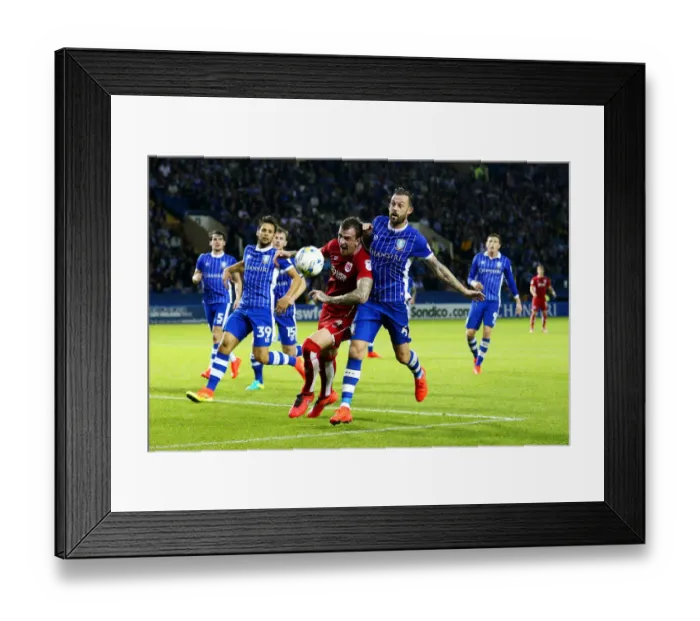 Framed Print : Aden Flint vs. Steven Fletcher: Clash at Hillsborough, Sheffield Wednesday vs. Bristol City, Sky Bet Championship Framed Print : Aden Flint vs. Steven Fletcher: Clash at Hillsborough, Sheffield Wednesday vs. Bristol City, Sky Bet Championship