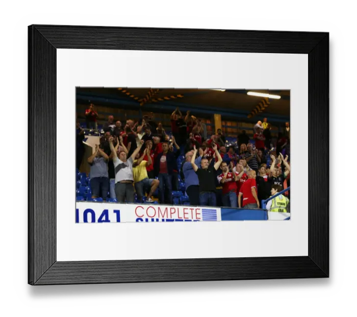 Framed Print : Bristol City's Triumph: Fans Celebrate at Full-Time vs. Sheffield Wednesday (September 13, 2016)