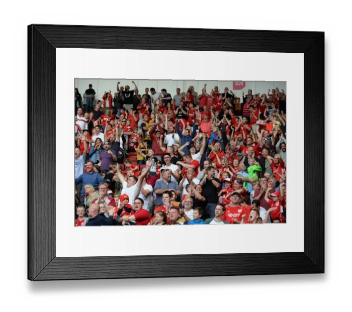 Framed Print : Bristol City Celebrate Dramatic Equalizer Against Derby County Framed Print : Bristol City Celebrate Dramatic Equalizer Against Derby County